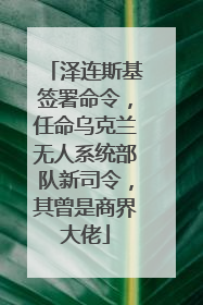 泽连斯基签署命令，任命乌克兰无人系统部队新司令，其曾是商界大佬