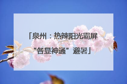 泉州：热辣阳光霸屏 “各显神通”避暑