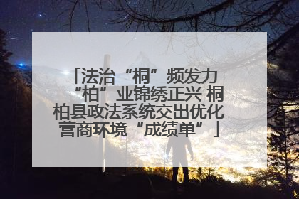 法治“桐”频发力 “柏”业锦绣正兴 桐柏县政法系统交出优化营商环境“成绩单”