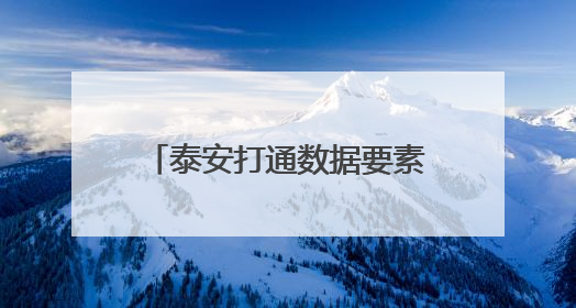泰安打通数据要素价值化全链路径 典型案例亮相第七届数字中国建设峰会