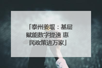 泰州姜堰：基层赋能数字提速 惠民政策进万家