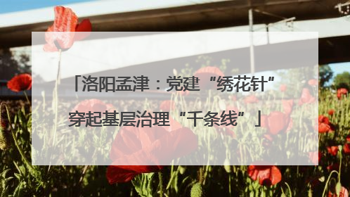 洛阳孟津：党建“绣花针”穿起基层治理“千条线”