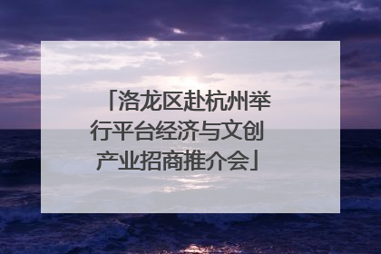 洛龙区赴杭州举行平台经济与文创产业招商推介会