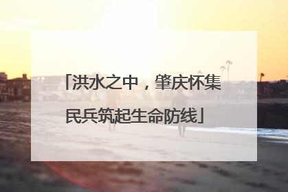 洪水之中，肇庆怀集民兵筑起生命防线