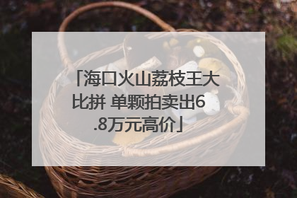 海口火山荔枝王大比拼 单颗拍卖出6.8万元高价
