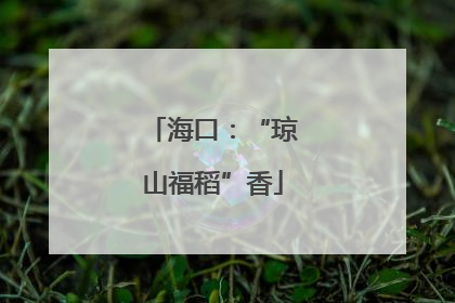 海口：“琼山福稻”香