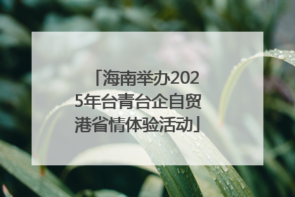 海南举办2025年台青台企自贸港省情体验活动