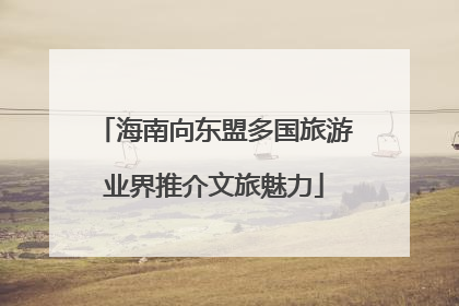 海南向东盟多国旅游业界推介文旅魅力