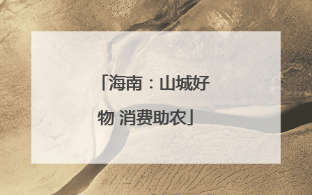 海南：山城好物 消费助农