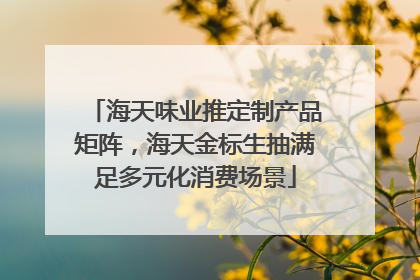 海天味业推定制产品矩阵，海天金标生抽满足多元化消费场景