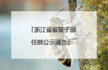 浙江省省管干部任前公示通告