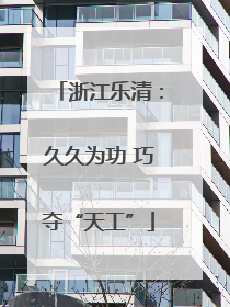 浙江乐清：久久为功 巧夺“天工”