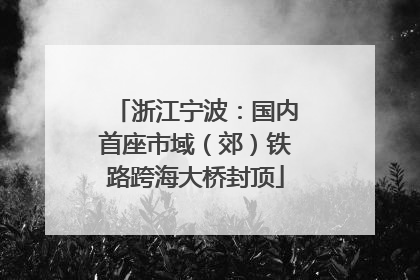 浙江宁波：国内首座市域（郊）铁路跨海大桥封顶