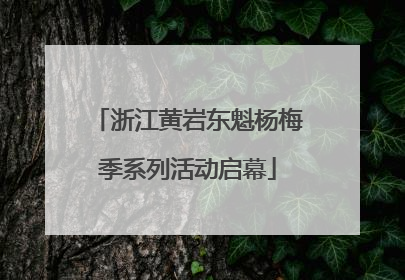 浙江黄岩东魁杨梅季系列活动启幕