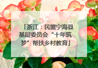 浙江：民盟宁海县基层委员会“十年筑梦”帮扶乡村教育