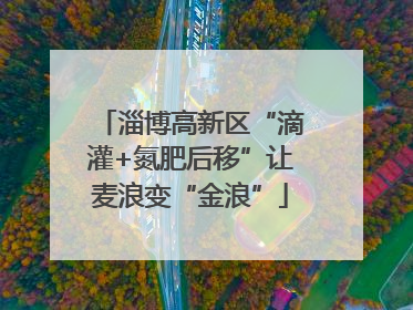 淄博高新区“滴灌+氮肥后移”让麦浪变“金浪”