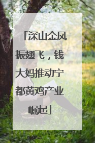 深山金凤振翅飞，钱大妈推动宁都黄鸡产业崛起