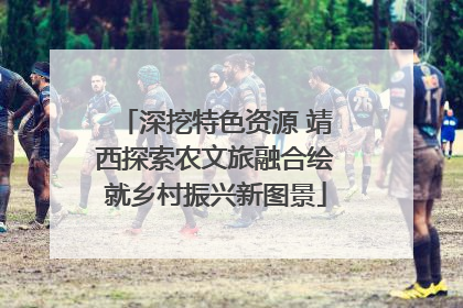 深挖特色资源 靖西探索农文旅融合绘就乡村振兴新图景