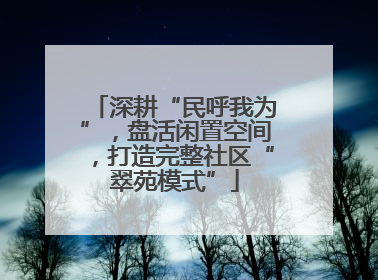深耕“民呼我为”，盘活闲置空间，打造完整社区“翠苑模式”