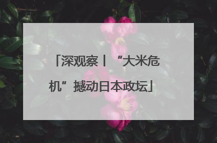 深观察丨“大米危机”撼动日本政坛