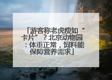 游客称老虎瘦如“卡片”？北京动物园：体重正常，饲料能保障营养需求