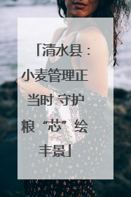 清水县：小麦管理正当时 守护粮“芯”绘丰景