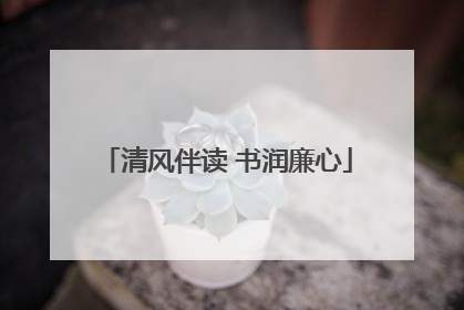 清风伴读 书润廉心