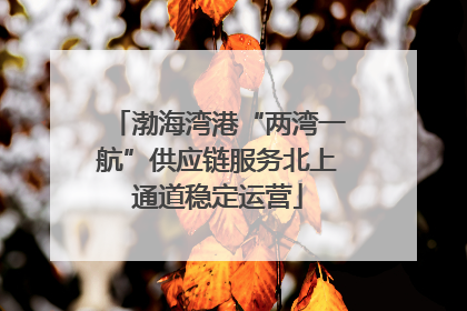 渤海湾港“两湾一航”供应链服务北上通道稳定运营