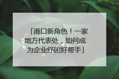 港口新角色！一家地方代表处，如何成为企业纾困好帮手