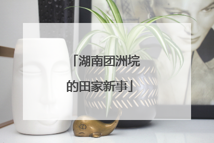 湖南团洲垸的田家新事