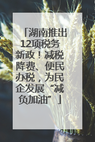 湖南推出12项税务新政！减税降费、便民办税，为民企发展“减负加油”