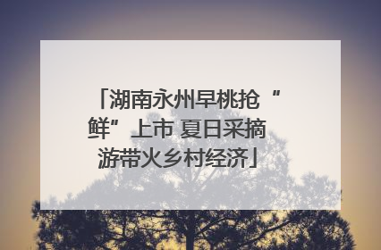 湖南永州早桃抢“鲜”上市 夏日采摘游带火乡村经济