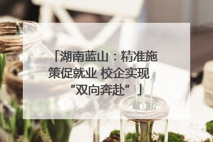 湖南蓝山：精准施策促就业 校企实现“双向奔赴”