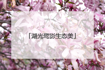 湖光鹭影生态美