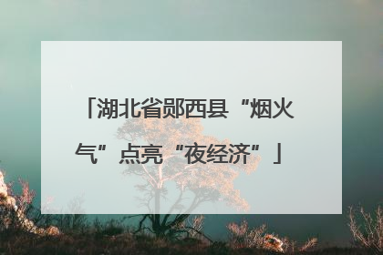 湖北省郧西县“烟火气”点亮“夜经济”