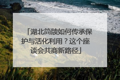 湖北简牍如何传承保护与活化利用？这个座谈会共商新路径