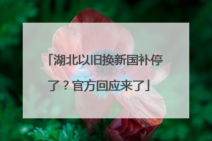 湖北以旧换新国补停了？官方回应来了