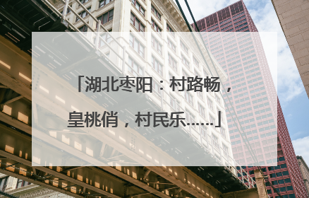 湖北枣阳：村路畅，皇桃俏，村民乐……