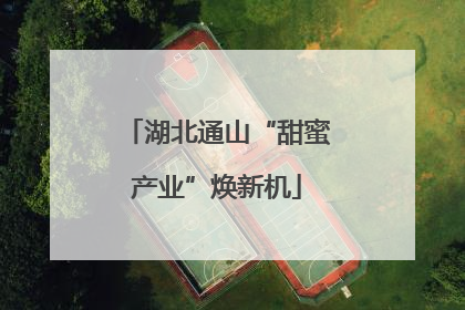 湖北通山“甜蜜产业”焕新机