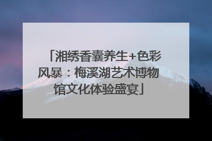 湘绣香囊养生+色彩风暴：梅溪湖艺术博物馆文化体验盛宴