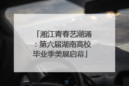 湘江青春艺潮涌：第六届湖南高校毕业季美展启幕