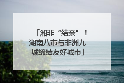 湘非“结亲”！湖南八市与非洲九城缔结友好城市