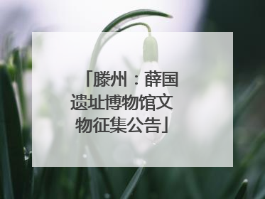 滕州：薛国遗址博物馆文物征集公告