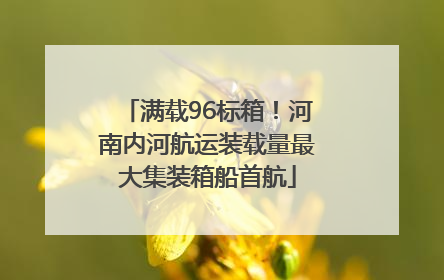 满载96标箱！河南内河航运装载量最大集装箱船首航