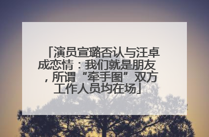 演员宣璐否认与汪卓成恋情：我们就是朋友，所谓“牵手图”双方工作人员均在场