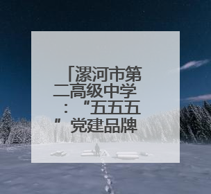漯河市第二高级中学：“五五五”党建品牌赋能教育高质量发展