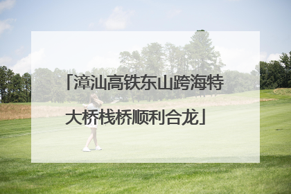 漳汕高铁东山跨海特大桥栈桥顺利合龙