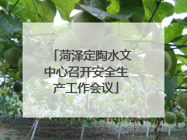 菏泽定陶水文中心召开安全生产工作会议