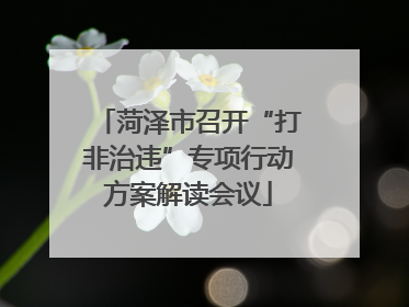 菏泽市召开“打非治违”专项行动方案解读会议