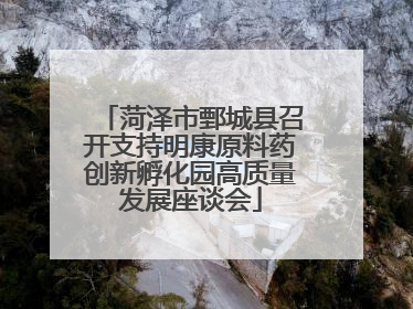 菏泽市鄄城县召开支持明康原料药创新孵化园高质量发展座谈会
